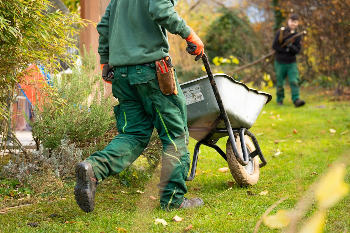 A gardener pushing a wheelbarrow across a lawn while another works in the background